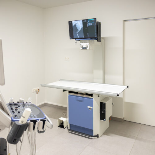 Rondleiding Medische beeldvorming - Radiografie