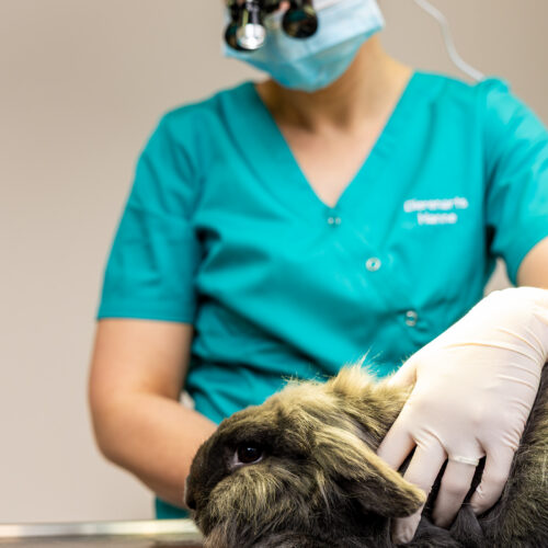 Rondleiding operatieruimte